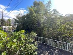 現地からの眺望　自然が多い住環境！