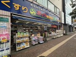ホッタ晴信堂本店 