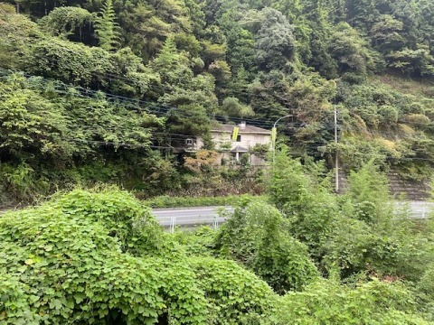 後ろの山も売買対象地です。
