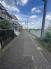前面道路含む現地写真　周辺は閑静な住宅街です。