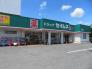 ドラッグセイムス牛浜店  517m
