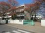 青梅市立若草小学校  952m