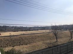 その他現地