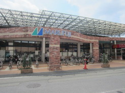 マルフジ千ヶ瀬店