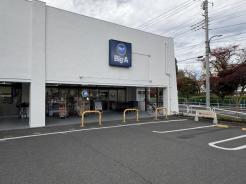 ビッグ・エー青梅河辺町店
