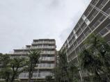 マンション