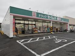 ドラッグセイムス師岡店